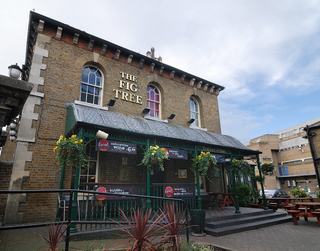 The Fig Tree